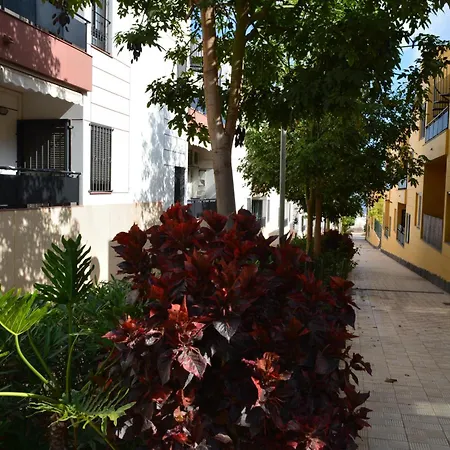 Апартаменты Vivienda Con Piscina, Solarium, Vistas Teide *