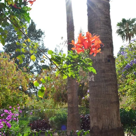 Vivienda Con Piscina, Solarium, Vistas Teide