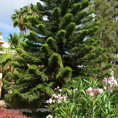 Апартаменты Vivienda Con Piscina, Solarium, Vistas Teide *
