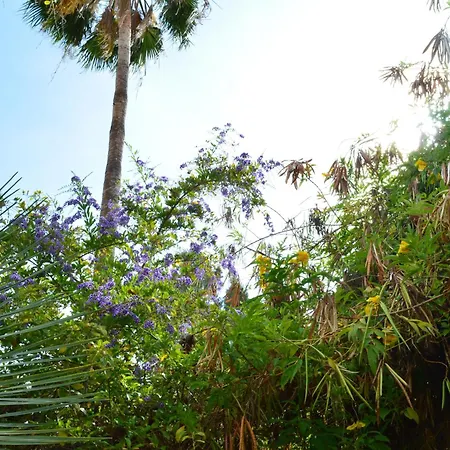 Vivienda Con Piscina, Solarium, Vistas Teide Daire *